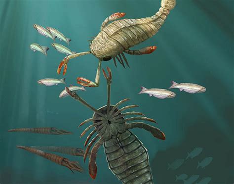 Art illustration - Aquatic animals - Eurypterus: (euríptero ...