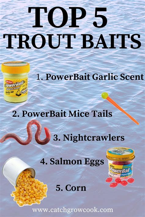 Top 5 Trout Baits for Lake and Pond Fishing | Trout bait, Fishing tips ...