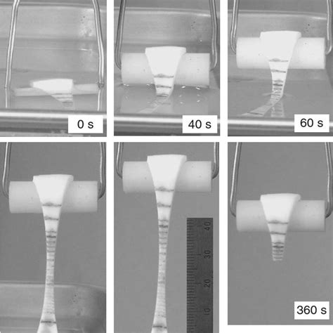 (PDF) Measurements of Mechanical Properties on a Swollen Hydrogel by a ...