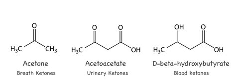 Exogenous Ketones: When, Why, and How