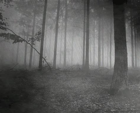 Fog GIF - Find & Share on GIPHY | World of darkness, Fog, Dark