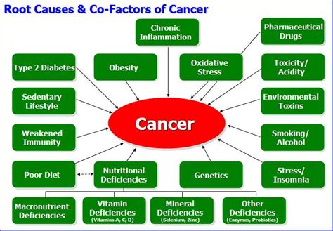 Death to Cancer: Cancer Pathophysiology