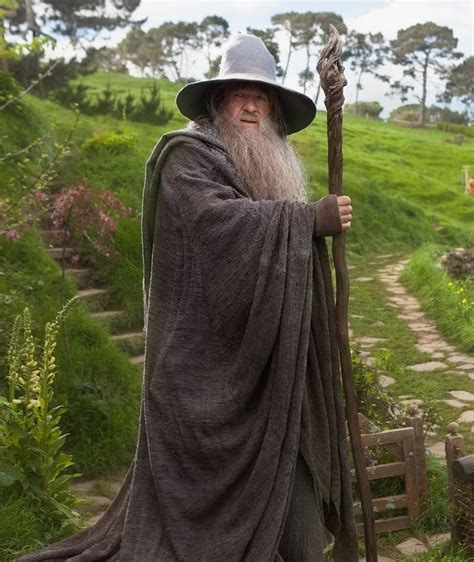 Gandalf the Grey | Gandalf the grey, Gandalf, Lord of the rings