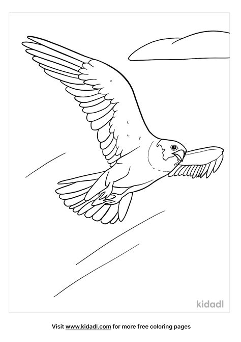 Peregrine Falcon Coloring Pages - Coloring Home