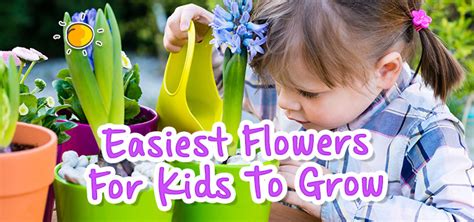 Easiest Flowers for Kids To Grow - Picniq Blog