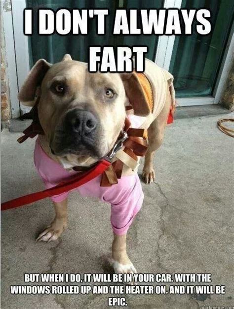 Dog Fart Quotes. QuotesGram