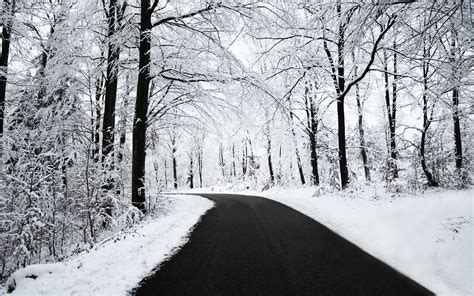 road, Snow, Black, White, Winter, Forest, Nature Wallpapers HD ...