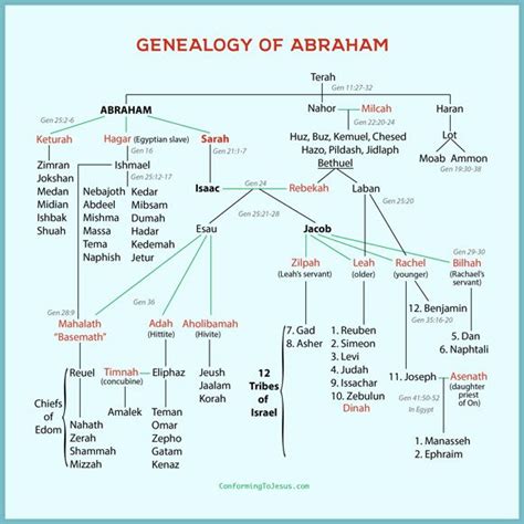 Genealogy Of Abraham's Chart - Abraham's Family Tree | Bible family ...