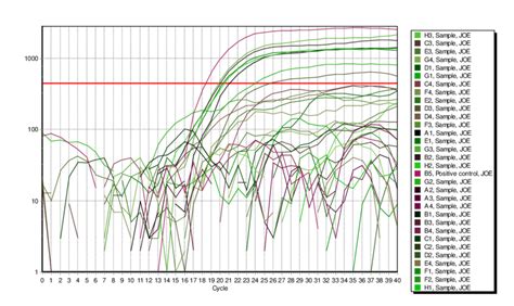 Real-Time PCR amplification log plot of Human respiratory Syncytial ...