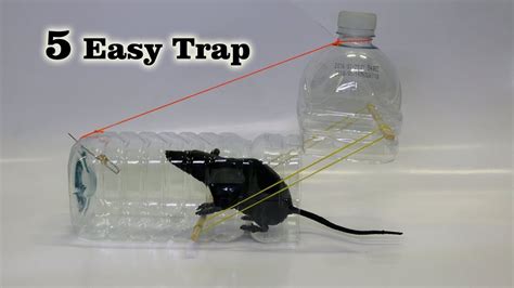 5 Easy Mouse/Rat Trap | Fishing