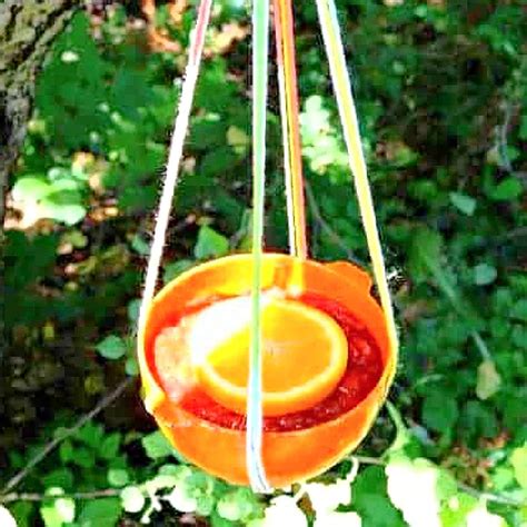 DIY Oriole Bird Feeder- EASY , FUN for Kids, BUDGET FRIENDLY