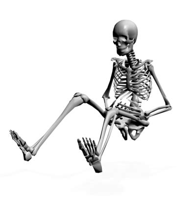 skeleton sitting in chair - Google Search | Human anatomy for artists ...