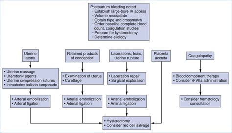 Antepartum and Postpartum Hemorrhage | Obgyn Key