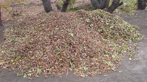 leaf pile by Jaguar24 on DeviantArt