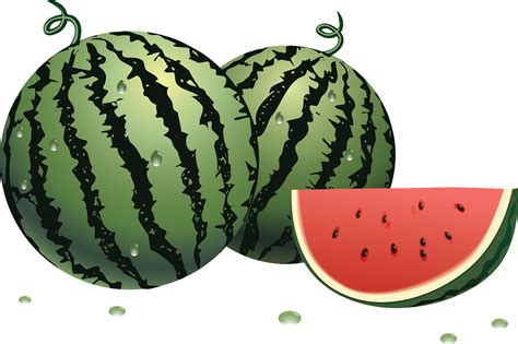 Watermelon PNG Free Download - DWPNG.com