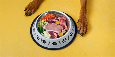 What Raw Meat Is Good For Dogs