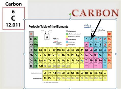 Group Number Of Carbon - Masturbation Network