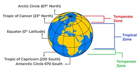 What is the Difference between Temperate and Tropical Regions?