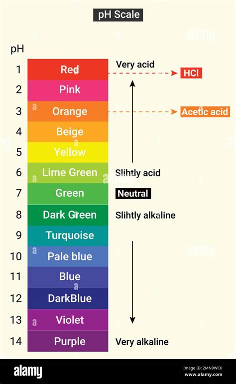 Universal Indicator Chart And Recipes, 51% OFF