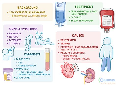 Hypovolemia: What Is It, Causes, Signs, and More | Osmosis