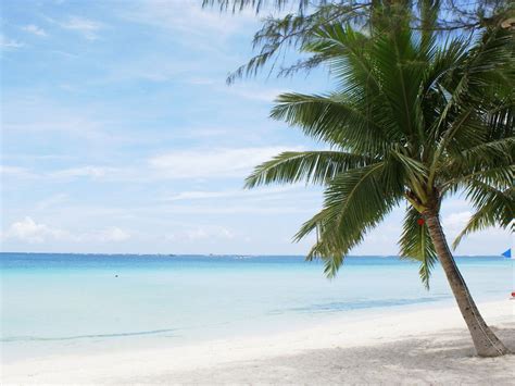 Gambar Gambar Pantai Pasir Putih Indah Pemandangan Tepi Laut di Rebanas ...