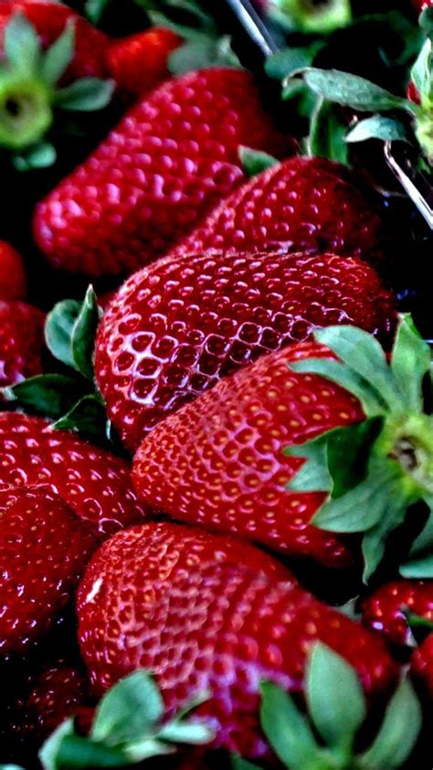 Download Wallpaper 720x1280 Strawberries, Berries, Ripe Samsung Galaxy ...