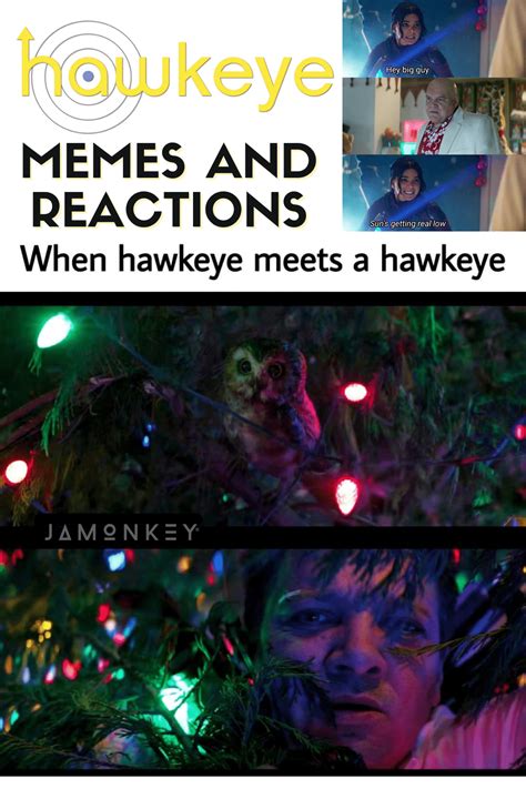 Hilarious Hawkeye Memes and Reactions That Hit the Mark - JaMonkey