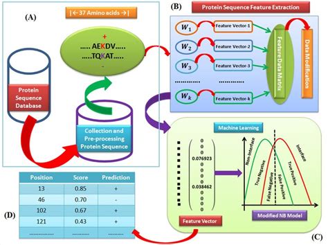 Schematic outline of our study (A) Protein sequence collection from ...