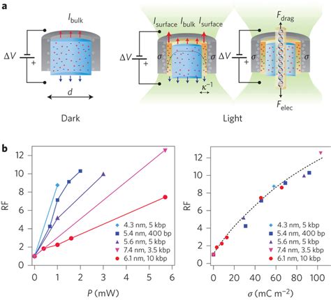 Light-induced surface charge density modulates the EOF and DNA ...