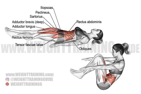 Jackknife sit-up exercise instructions and video | weighttraining.guide