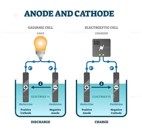 Anode and cathode scientific physics education diagram, vector ...