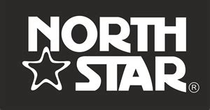 North Star Logo PNG Vector (AI) Free Download