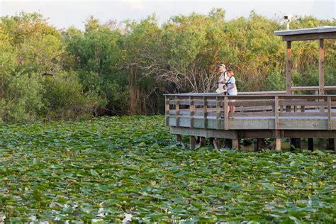 5 best hikes in Everglades National Park - Lonely Planet