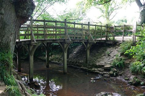 Ashdown Forest: A Little Glimpse of Childhood – Changing Paths