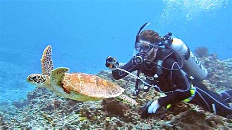 SCUBA DIVING DEEP SEA IN JAPAN - YouTube