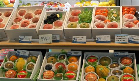 Why are fruits in Japan expensive? - WA-SHOKU Japanese Jobs & Foods.