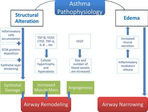 Genetics Of Allergic Asthma And Current Perspectives On | Free Nude ...