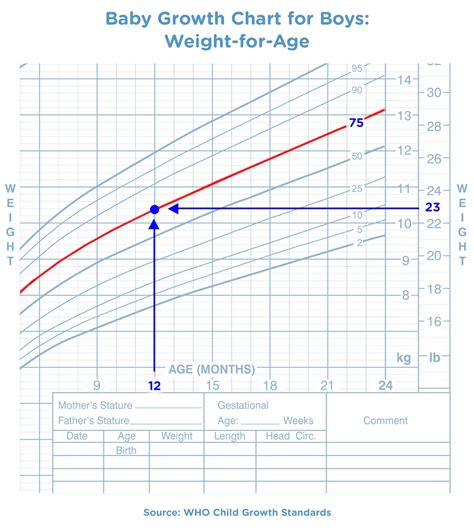 infant growth chart percentile Boys' height chart percentile calculator