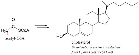 Vitamins and Their Uses - | Lower cholesterol naturally, Redox ...