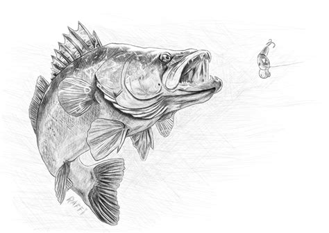 Pin di Alberto Corrado su disegni 3D di pesca | Disegni di pesci ...