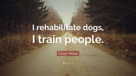 Cesar Millan Quotes (84 wallpapers) - Quotefancy