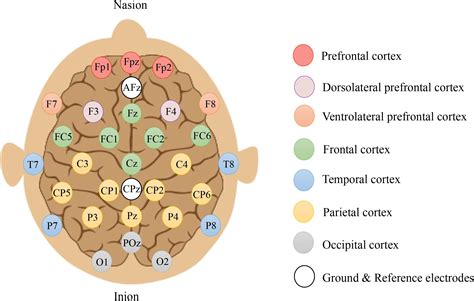 Classification of natural sounds with EEG and Python - python - Neurostars