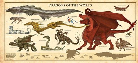 Middle Earth Dragon Size Chart