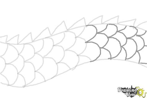 How to Draw Dragon Scales - DrawingNow