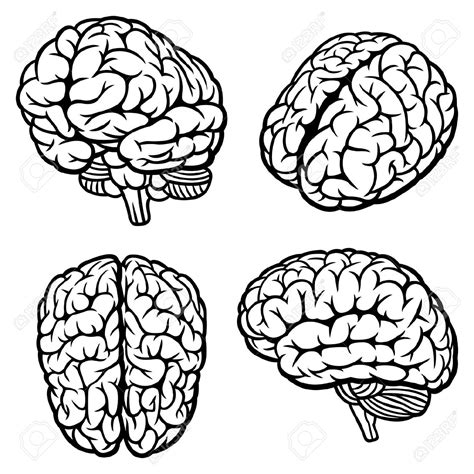 Brain Drawing Images at GetDrawings | Free download