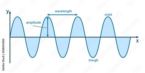 Label The Parts Of The Transverse Wave.amplitude Crest Trough ...