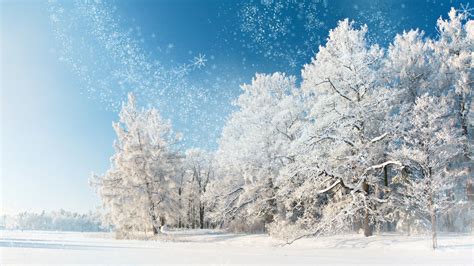 January Winter Desktop Wallpapers on WallpaperDog