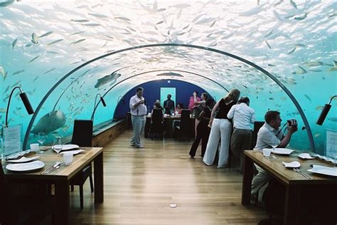 Underwater Restaurant Hilton Hotel, Maldives | Aaron Kearney | Flickr