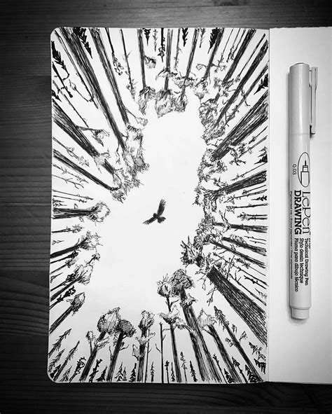 Resultado de imagen para nature drawing pen & ink moleskine | Nature ...