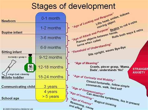 Normal Stages of Childhood Development | Child development | Developing ...